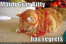 Fat tuesday quotes and sayings. Your Fat Tuesday To Do List