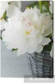 Quadro vaso con fiori bianchi foglie oro. Quadro Su Tela Bellissimi Fiori Bianchi In Un Vaso Pixers Viviamo Per Il Cambiamento