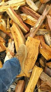 Eucalyptus Firewood Fundacionesperanzaviva Com Co