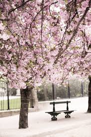 Epingle Par Jedoisvousraconter Sur Paris Parterre De Fleurs Paysage France Paysage