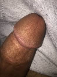 الحس لحس ممحون نيك سكس زب سالب موجب فحل تبادل shemale ladyboy  fuck porn gay ass slut libya kiss مسلسل_ما_تنساه بخاطري_لك_سؤال  وش_اقوى_درس_تعلمته_من_الحياة analsex bisexual camguy