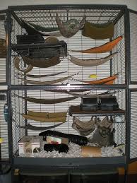 Bird Cage For Sale Craigslist I Started With A Single Critter Nation And It Was A Great Space For Elliot Rosenberg And Josh Miller Then Peter Martin And Olive Rat Cage Pet Rats Ferret Cage