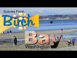 The north campground s located in a beautiful grove of trees. Birch Bay Washington Scenes From Birch Bay State Park In Northwest Washington Near Vancouver B C Youtube