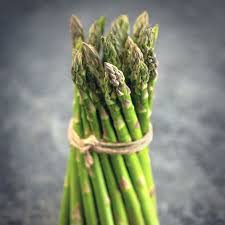 Image result for Asparagus aspergillus