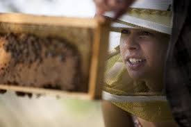 Bee Bold: Lessons from Ellie Symes, founder of The Bee Corp