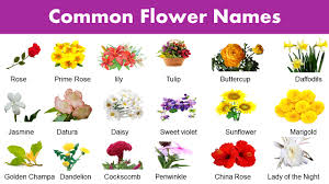 Maybe you would like to learn more about one of these? List Of Common Flower Names Flower Vocabulary Grammarvocab