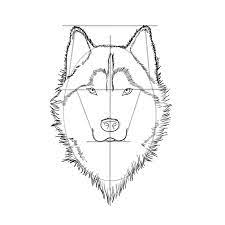 Check spelling or type a new query. How To Draw A Wolf Head A Guide That Makes Wolf Drawing Easy