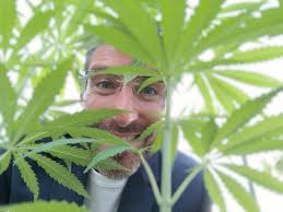 Questi trogloditi al governo stanno facendo la guerra a una pianta. A Madre  Natura. Rendetevi conto di come son messi. Mentre nel resto del mondo si  regolamenta e legalizza il mercato della