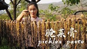 pickle sauce the irreplaceable dai style dipping sauce in yunnan cuisine 腌菜膏 在云南蘸水里无可替代的傣味蘸料 滇西小哥 youtube dipping sauce pickles food dishes