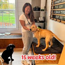 Looking for a great summer read for your teen? Follow Carter Danforth along  Route 66. Music, motorcycles, cactus, cooking, and guitars. And Coachella!  A feel-good summer treat that will keep teens turning