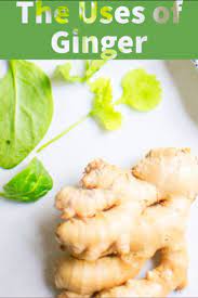 The Uses Of Ginger Ginger Uses Ginger Benefits Cooking With Ginger