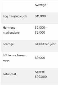 A Financial Advisor S Advice On How To Pay For Egg Freezing Myra Personal Finance For Immigrants