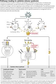 This will protect supply for uk patients by enforcing regulatory action on those who flout the restrictions, it added. Cytokine Release Syndrome In Severe Covid 19 Science