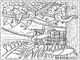 Gambar pemandangan alam di atas di abadikan dalam momen yang sangat tepat sehingga memiliki nilai seni yang sangat tinggi. Gambar Mewarnai Pemandangan Hutan Mewarnai Gambar