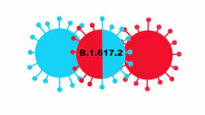 Zargar june 24, 2021 / 7:50 am / cbs news Covid 19 Three States Report Cases Of The Delta Plus Variant