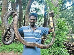 Vava Suresh The Snake Man Of India Sanskriti In baghdad and some other governorates, they are 7 digits.