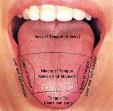 a crash course in tongue diagnosis the which doctor