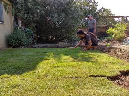 With water and people, a hot tub can easily weigh over 5,000 lbs. Garden Update A New Front Lawn Or How To Plant Grass Over Concrete Steemit