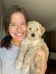 Profile for Davis Farms Australian Labradoodles