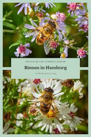September Im Loki Schmidt Garten Bienen Und Blumen Loki Schmidt Loki Bienen