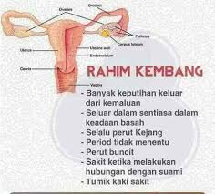 Selengkapnya simak berbagai penyebab sakit perut di sebelah kiri di bawah ini. Tajwati Beauty Rahim Kembang Ape Tu Ye Info Berguna Untuk Wanita Antara Tanda2 Rahim Tidak Sihat Sakit Tumit Tumit Sering Sakit Berdenyut Dan Menyucuk Nyucuk Secara
