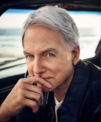 NCIS: The Absence of Ducky Will...