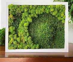 Moss Wall Art Botanical Art Living Wall Garden Moss Art Etsy Moss Wall Art Living Wall Garden Living Wall Art