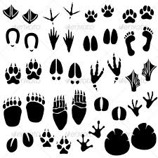 Animal Footprint Track Vector Animals Characters Download Here Https Graphicriver Net Item Animal Footprin Animal Footprints Animal Tracks Illustration