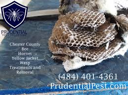 With 300+ terminix branches, we're always ready to help. Bee Control Chester County Prudential Pest Solutions