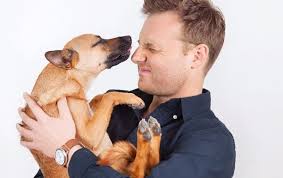 Please note we are currently accepting private training clients for september 2021 and are accepting board & train applicants for october 2021. Are Board And Train Programs Right For My Dog Bark