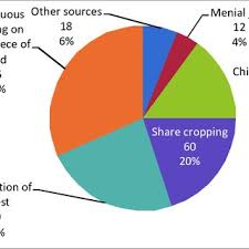 of womens unsustainable means of livelihood source the pie