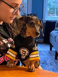 Pet insurance for allergy-prone pets like Ruby?