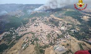 Gli incendi in sardegna hanno anche fatto strage di animali: Fqkfj2wq33a41m