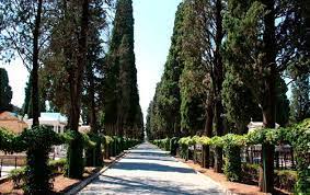 We did not find results for: Cementerio De San Fernando Turismo De La Provincia De Sevilla