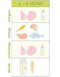 Auch die la leche liga. Beikost Fahrplan Ab Dem 6 Bis 8 Monat Beikost Beikost Baby Baby Ernahrung