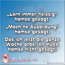 Saulustig Humor Lol Fun