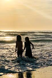 Overview video where to stay things to do blogs. 27 Best Things To Do In The Florida Keys With Kids Let S Travel Family