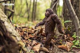 Soal essay biologi beserta jawabannya. Belajar Contoh Soal Essay Biologi Sma Kelas 12 Bab Teori Evolusi Lengkap Dengan Jawabannya