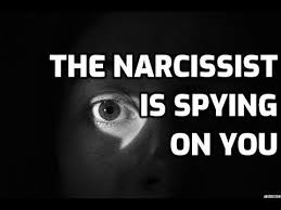 The Narcissist Is Spying On You Youtube Narcissistic Abuse Narcissist Abuse Survivor