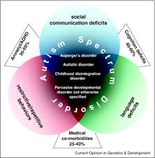 Autism spectrum disorder (asd) is a complex developmental condition that involves persistent challenges in social interaction, speech and nonverbal communication, and restricted/repetitive. Genetic Architecture In Autism Spectrum Disorder Sciencedirect