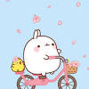 See more ideas about molang, kawaii, molang wallpaper. Https Encrypted Tbn0 Gstatic Com Images Q Tbn And9gcto37qrsht22deamctaopndwtvztkghiecyc1gtofdgfbonhmdh Usqp Cau