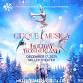 Cirque Musica Holiday Wonderland event image
