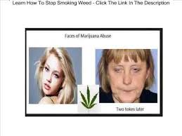 We have a huge free dvd selection that you can download or stream. Should I Quit Smoking Weed Reddit Popularquotesimg