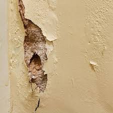 Comment lutter contre moisissure murs. How To Diagnose Common Plaster Problems The Craftsman Blog Plaster Repair Stud Walls Termite Damage