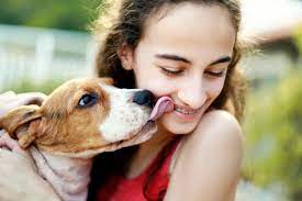 Are You Allergic To Dog Saliva Petmd
