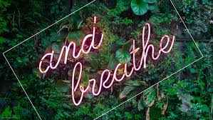 Aesthetic Green Wallpaper Pc Send it in and we'll feature it on the site! aesthetic green wallpaper pc