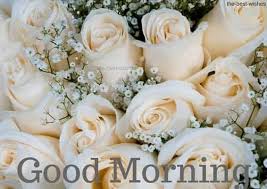 Pin On Good Morning Greetings