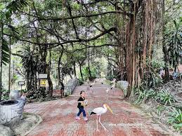 Yg saya tanyakan klu saya mau pulang dari pasar cipanas bis yg menuju ke jakarta. Taman Burung Kuala Lumpur Tempat Percutian Pertama Waktu Pkpp Ceritera Si Gadis Biru