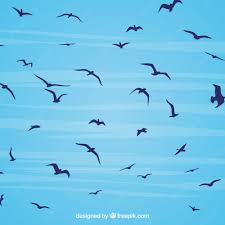 نتیجه جستجوی لغت [flying] در گوگل