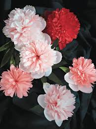 Spritzing these paper flowers with a bit of paint makes for a splattered look that mimics the random, unique color patterns on true blooms. Paper Flowers The Global Ancient Roots Of A Contemporary Maker Fixation Architectural Digest